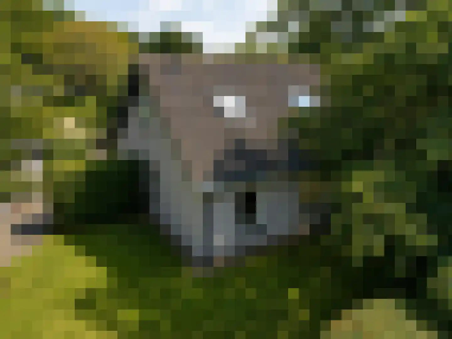 Pèse Schorre 32 Cadzand thumbnail 32