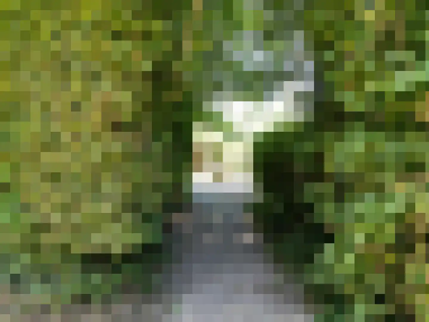 Pèse Schorre 32 Cadzand thumbnail 33