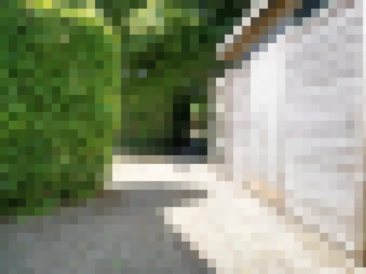 Pèse Schorre 32 Cadzand thumbnail 35