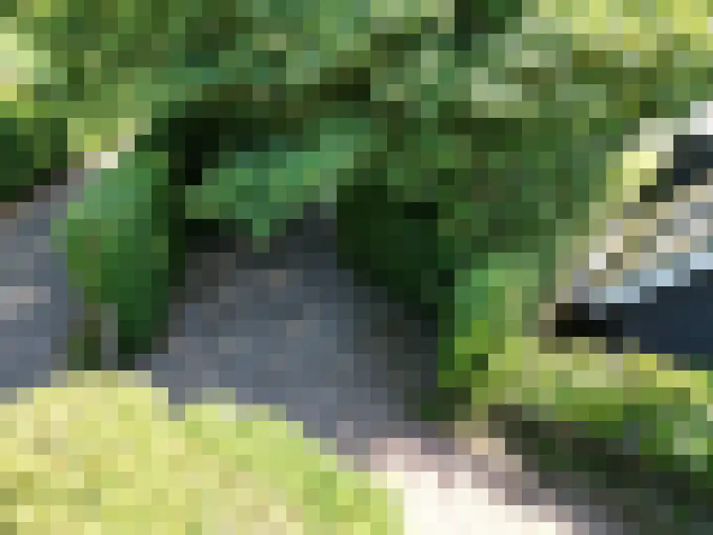 Pèse Schorre 32 Cadzand thumbnail 36