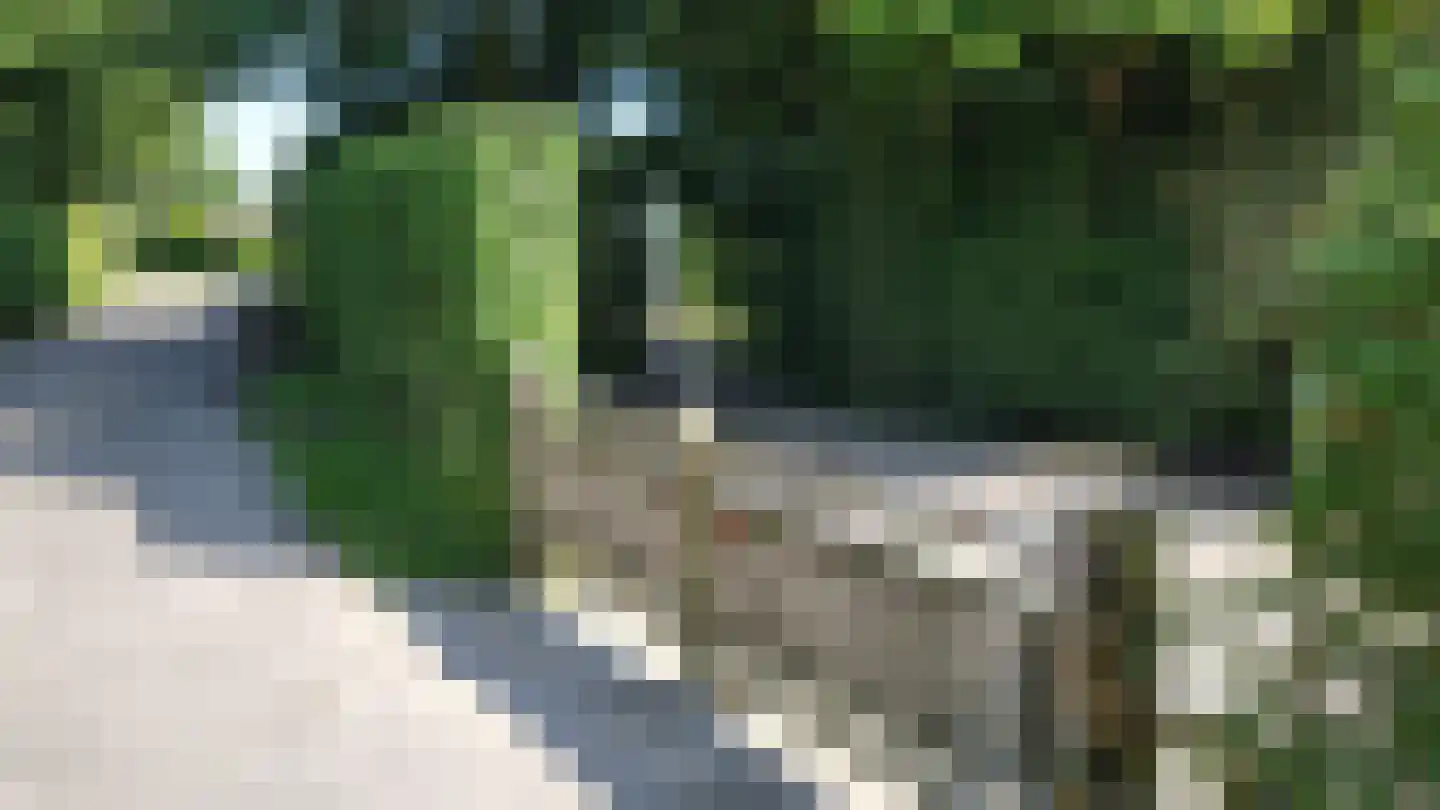 Pèse Schorre 32 Cadzand thumbnail 38