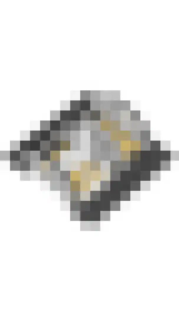 Pèse Schorre 32 Cadzand thumbnail 42