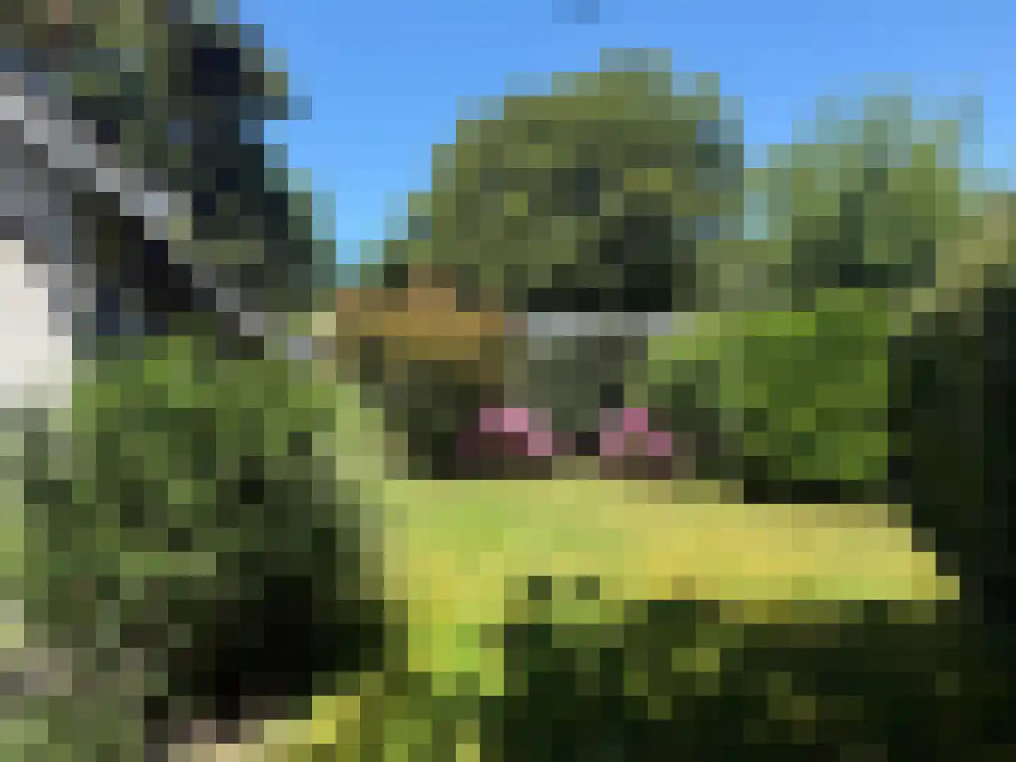 Pèse Schorre 32 Cadzand thumbnail 6