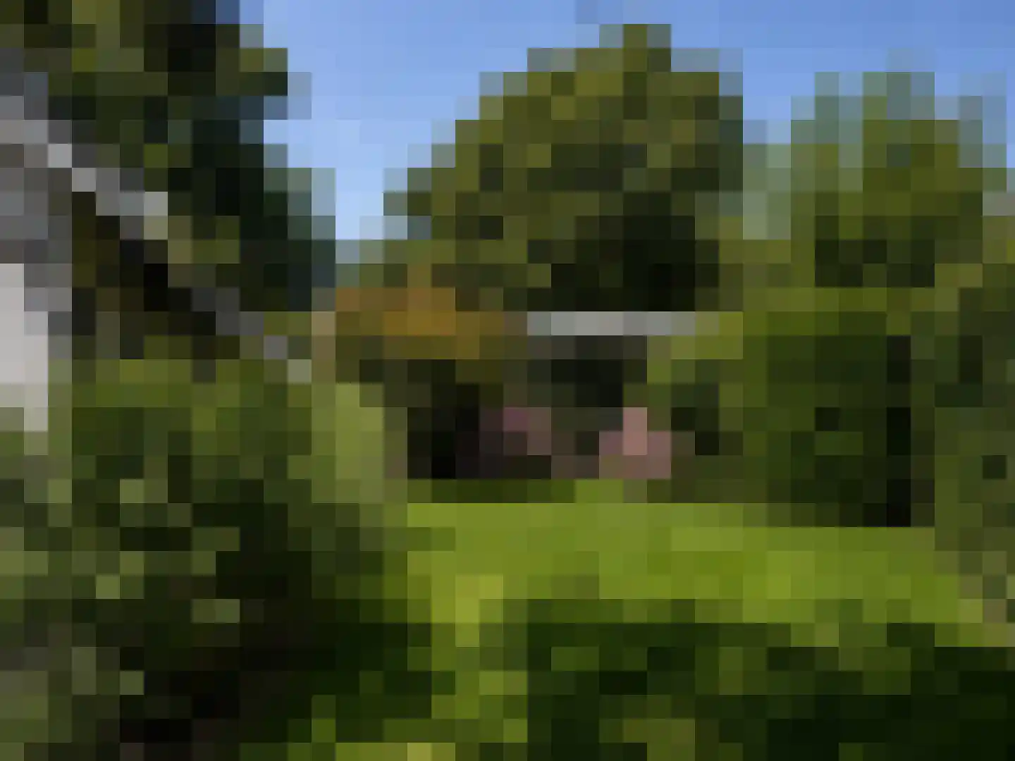 Pèse Schorre 32 Cadzand thumbnail 6