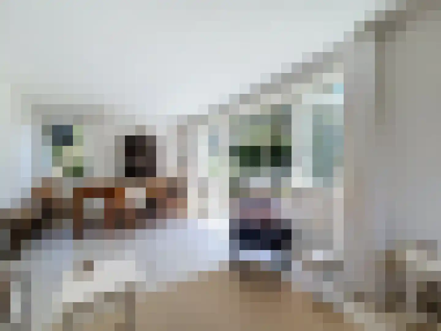 Pèse Schorre 32 Cadzand thumbnail 8