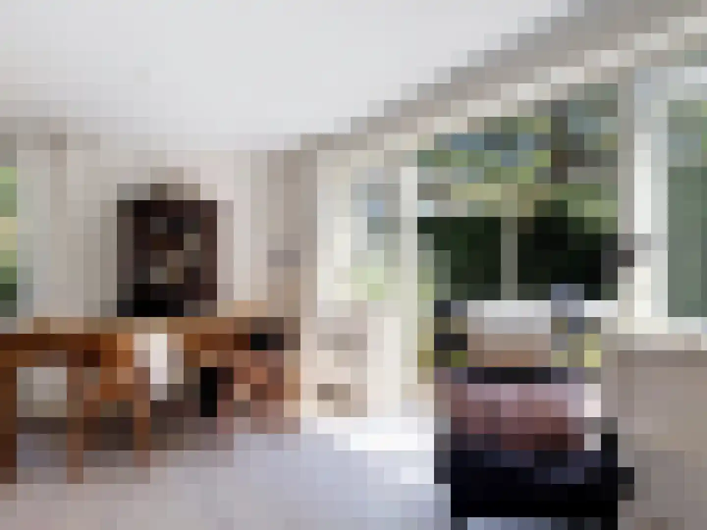 Pèse Schorre 32 Cadzand thumbnail 9