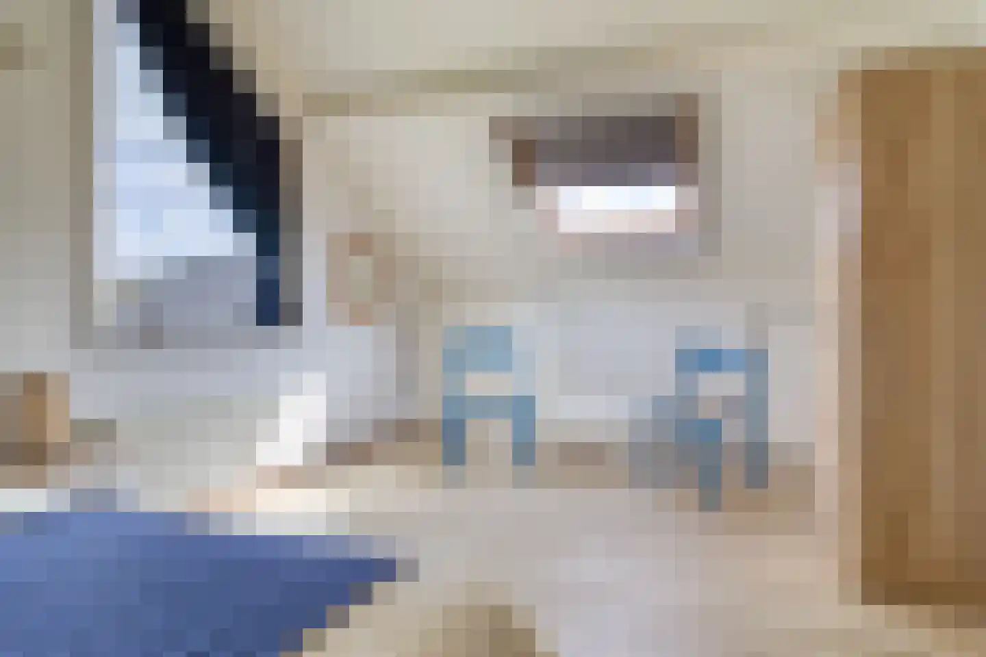 Pèse Schorre 42 Cadzand thumbnail 13