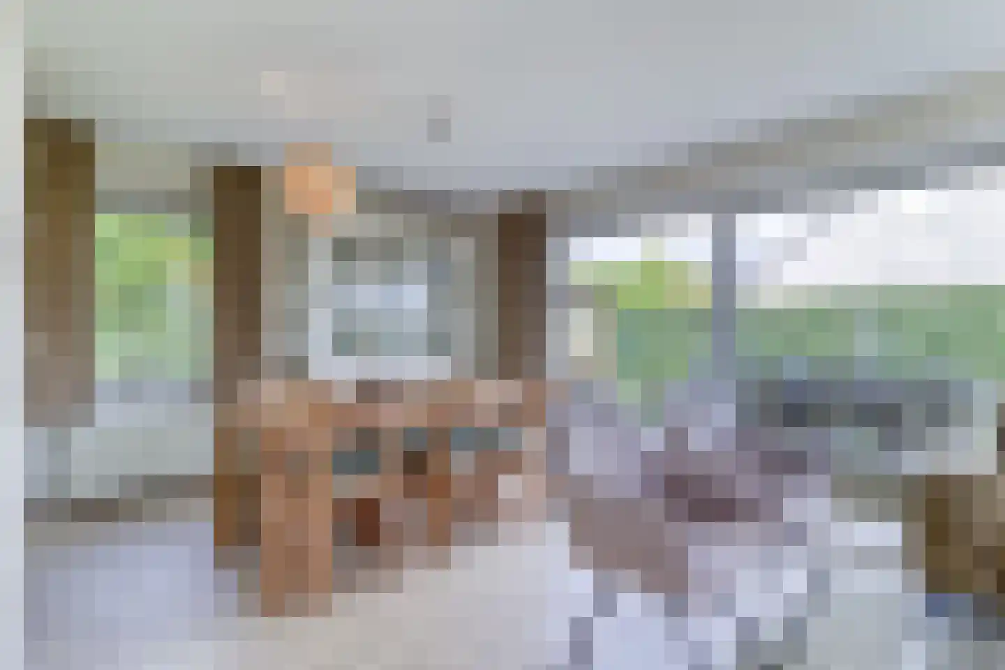 Pèse Schorre 42 Cadzand thumbnail 6