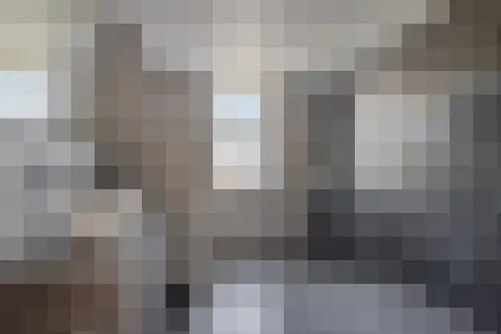 Peseta 14 Dronten thumbnail 4