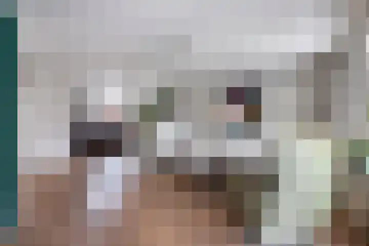 Peseta 30 Dronten thumbnail 10