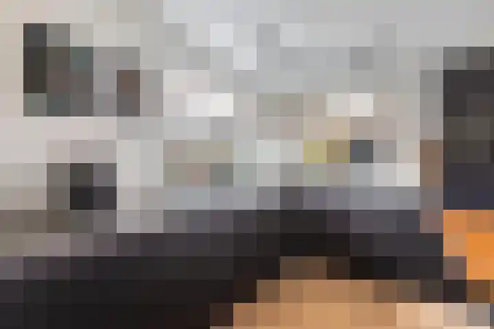 Peseta 30 Dronten thumbnail 12