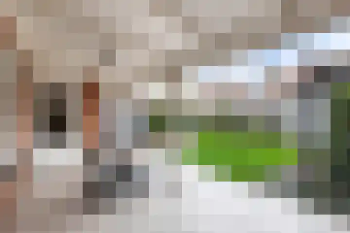 Peseta 30 Dronten thumbnail 17