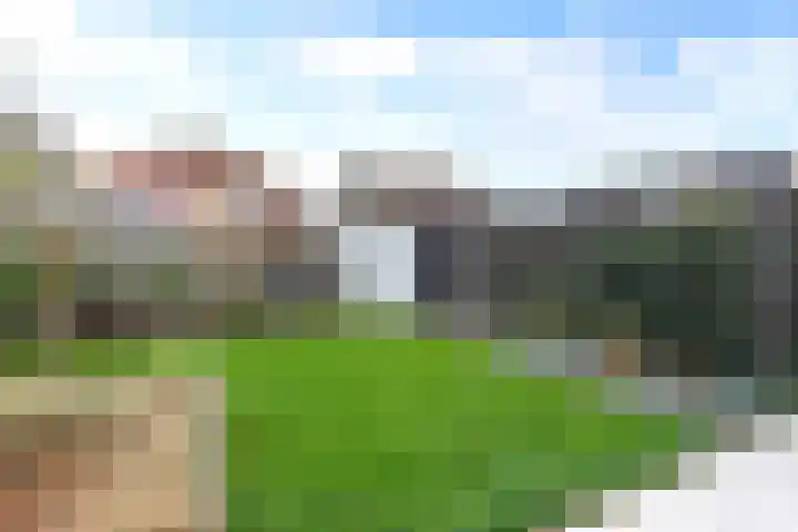 Peseta 30 Dronten thumbnail 18