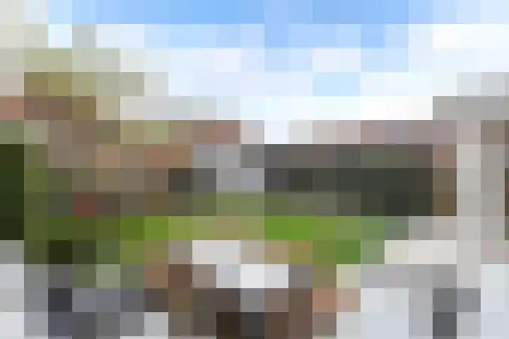 Peseta 30 Dronten thumbnail 19