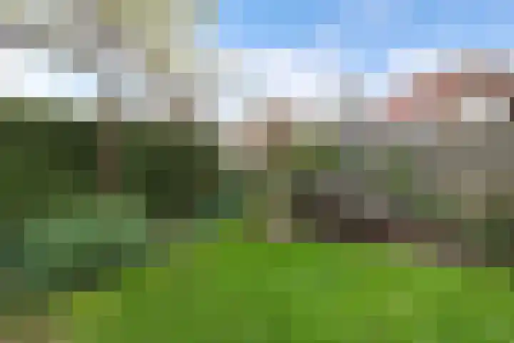 Peseta 30 Dronten thumbnail 20