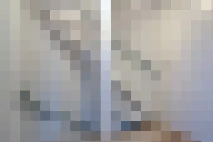 Peseta 30 Dronten thumbnail 24