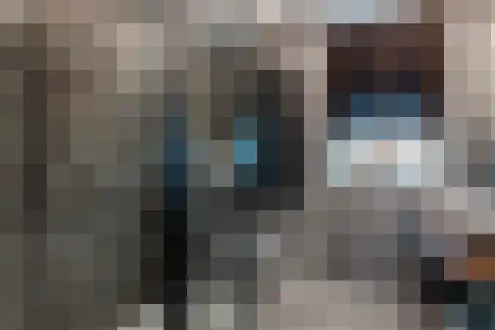 Peseta 30 Dronten thumbnail 31