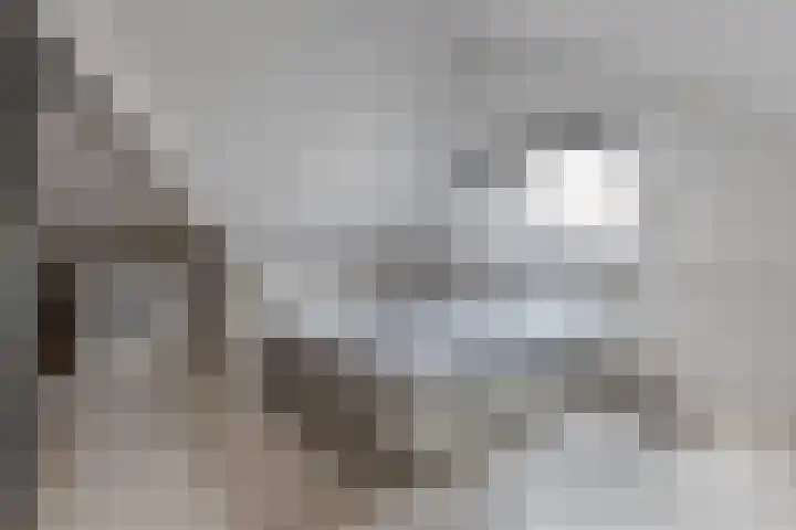 Peseta 30 Dronten thumbnail 33