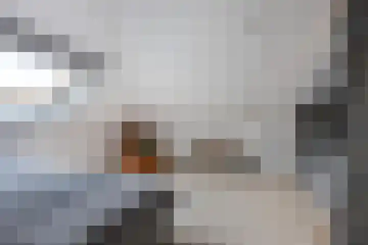 Peseta 30 Dronten thumbnail 34