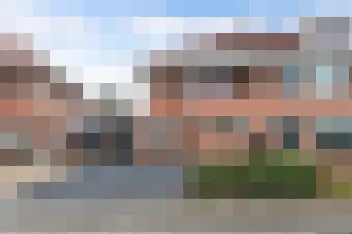 Peseta 30 Dronten thumbnail 36
