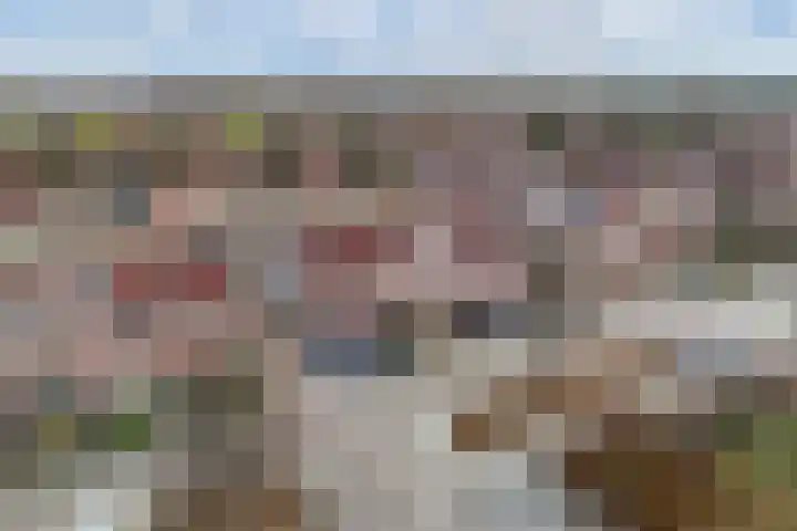 Peseta 30 Dronten thumbnail 39