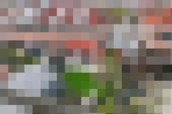Peseta 30 Dronten thumbnail 40