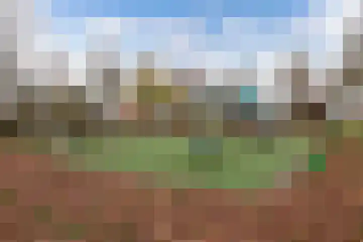 Peseta 30 Dronten thumbnail 42