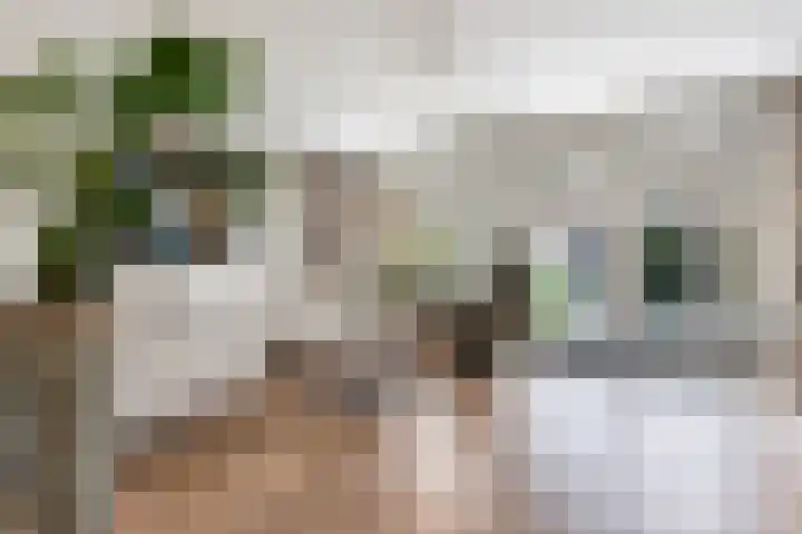 Peseta 30 Dronten thumbnail 7