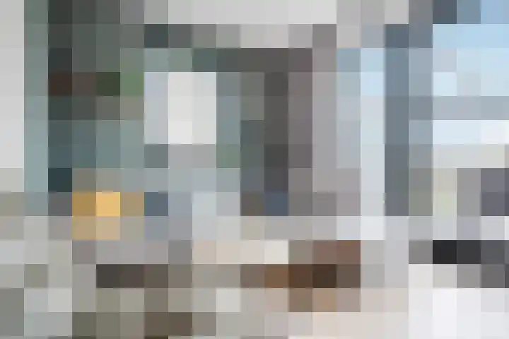 Peseta 32 Dronten thumbnail 13