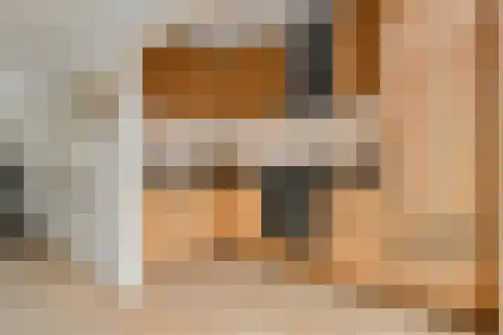Peseta 32 Dronten thumbnail 14