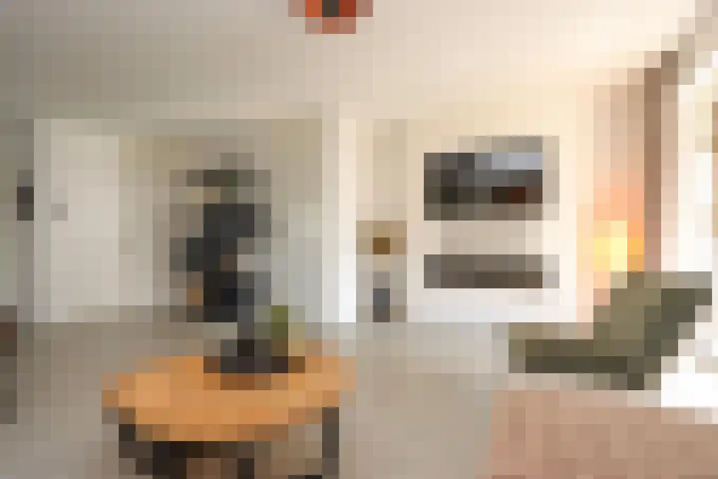 Peseta 32 Dronten thumbnail 17