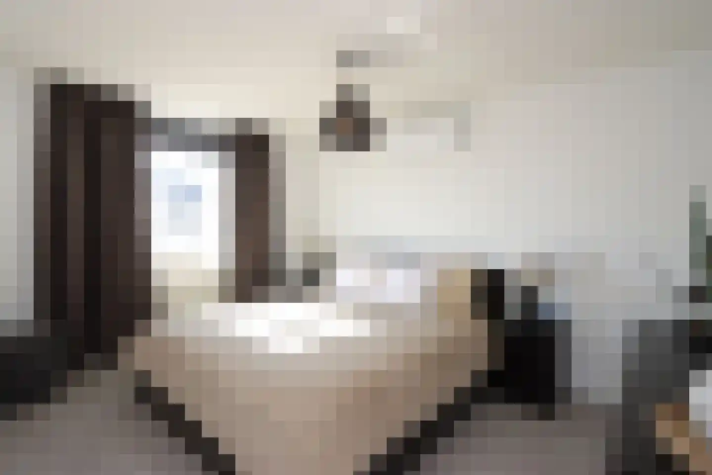 Peseta 32 Dronten thumbnail 22