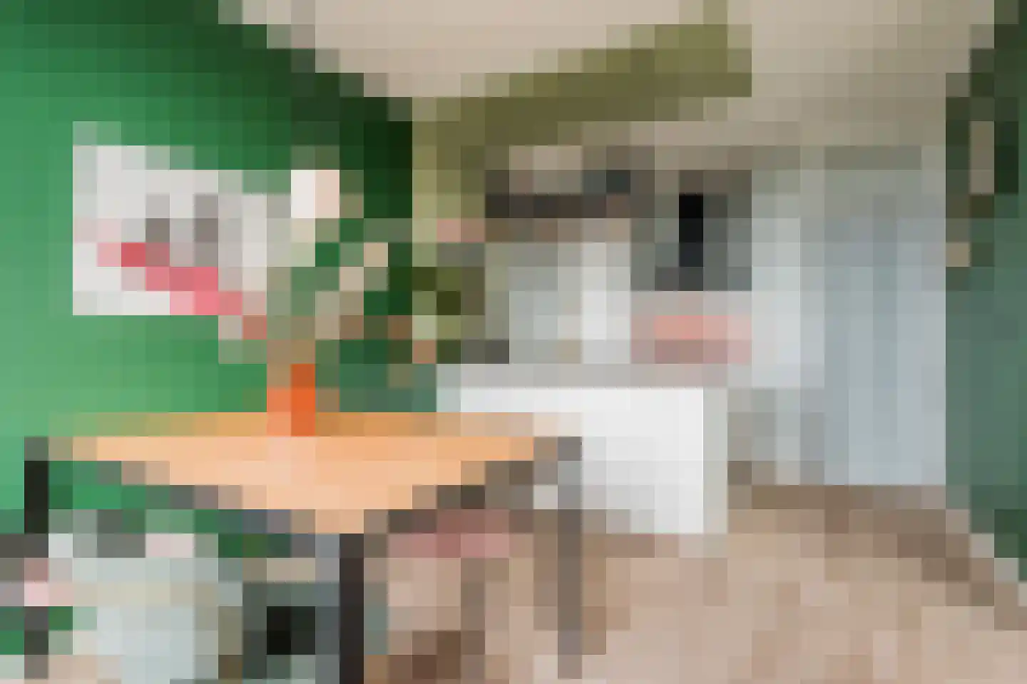 Peseta 32 Dronten thumbnail 31