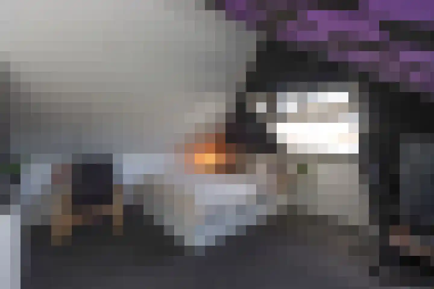 Peseta 32 Dronten thumbnail 32