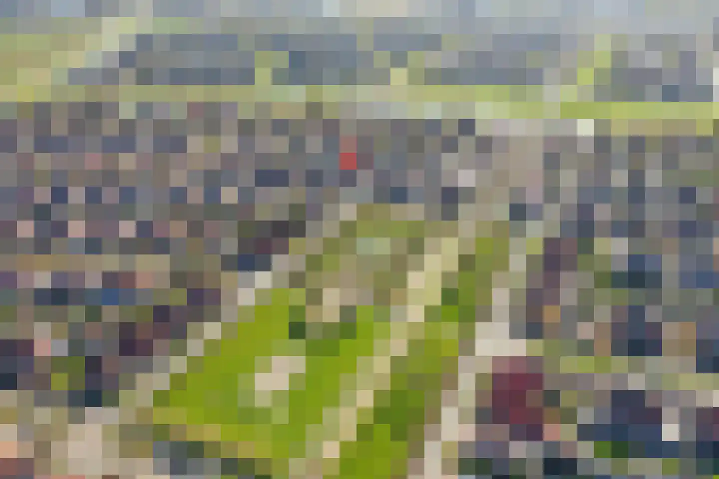 Peseta 32 Dronten thumbnail 4