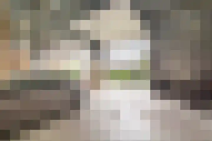 Peseta 32 Dronten thumbnail 46