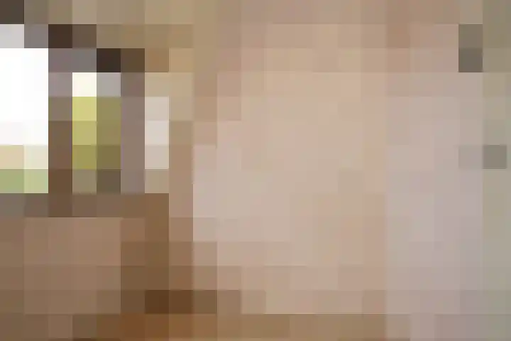 Peseta 32 Dronten thumbnail 5