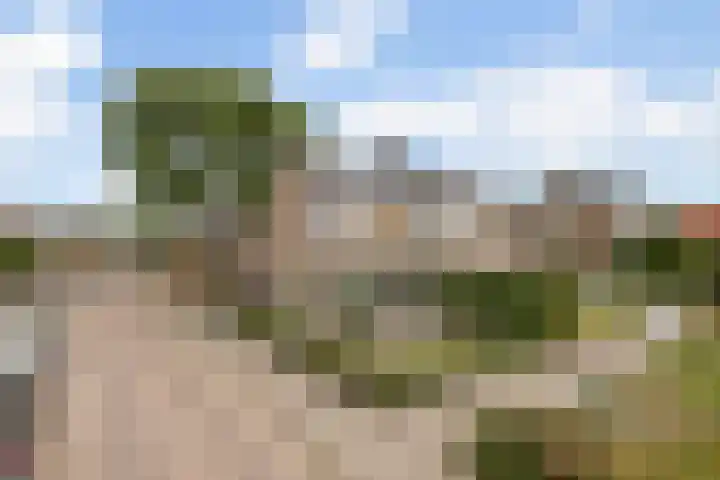 Peseta 32 Dronten thumbnail 52