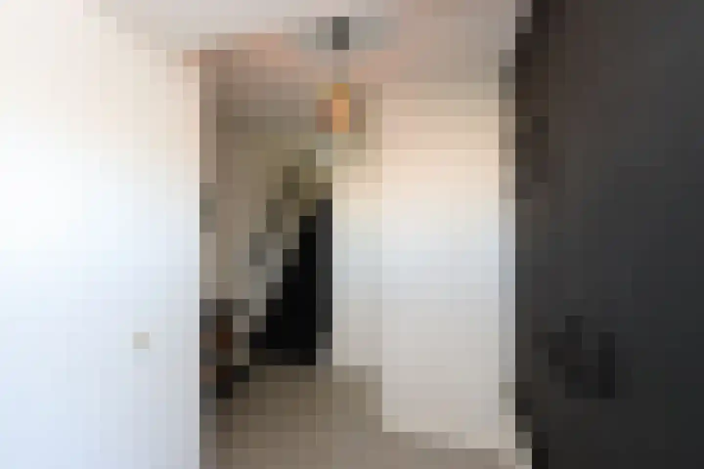 Peseta 32 Dronten thumbnail 7