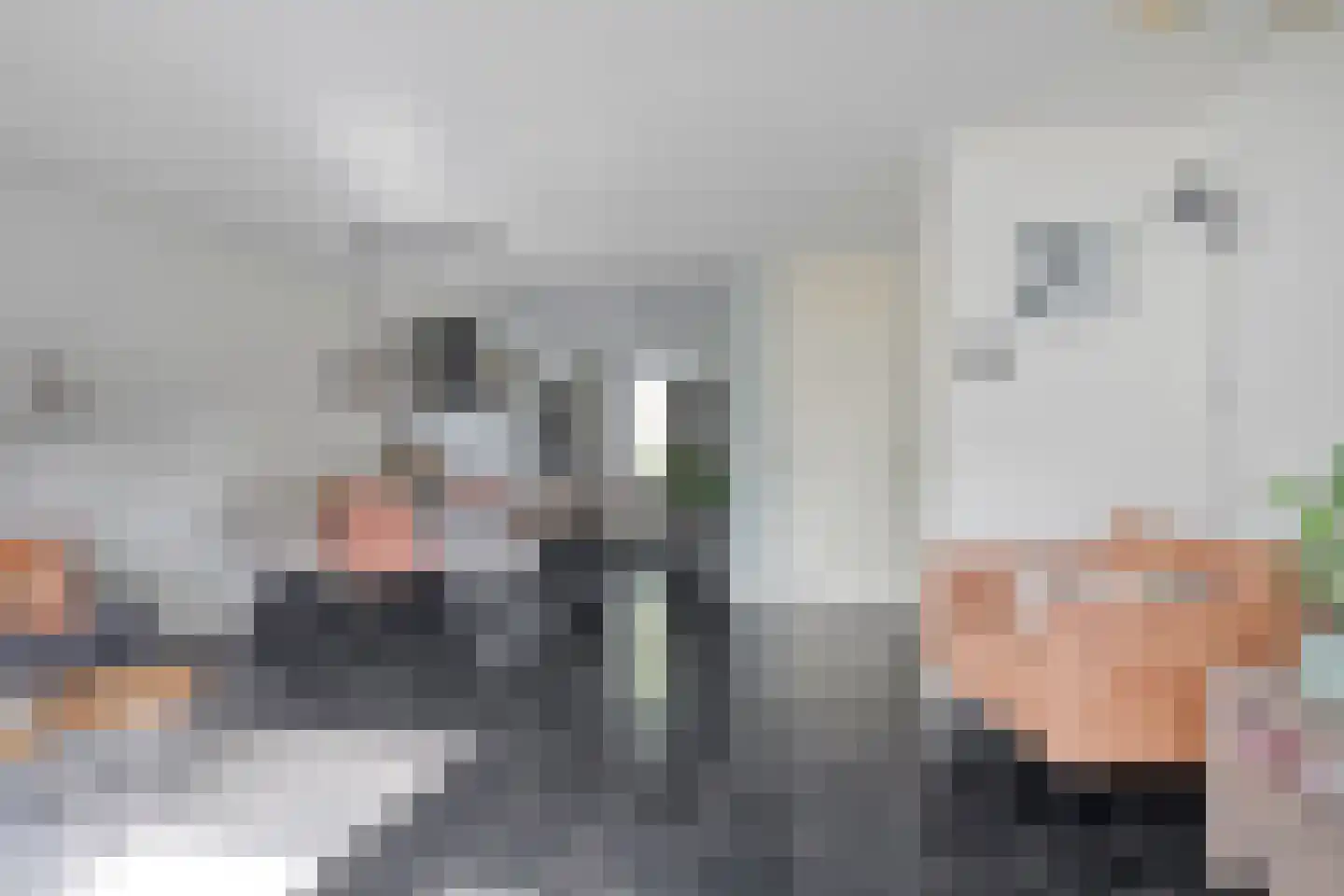 Peseta 36 Dronten thumbnail 10