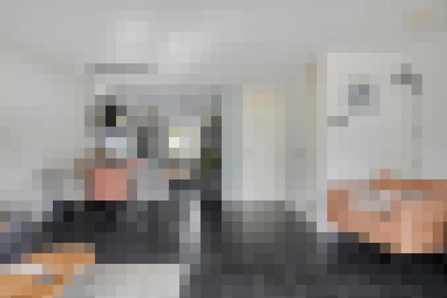 Peseta 36 Dronten thumbnail 11