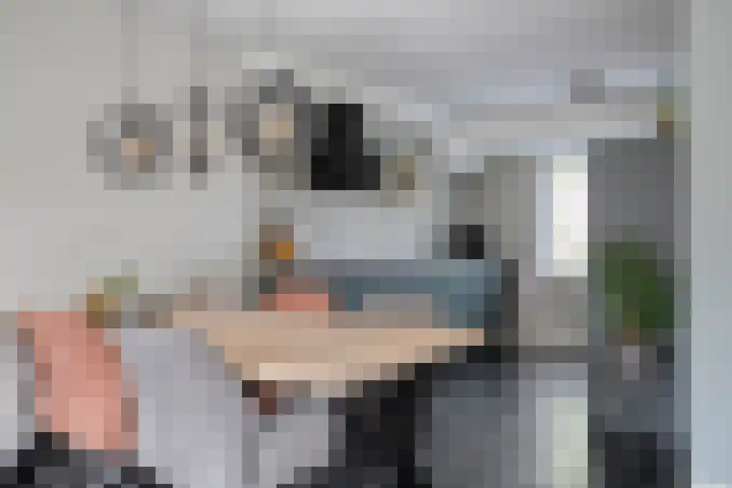 Peseta 36 Dronten thumbnail 12