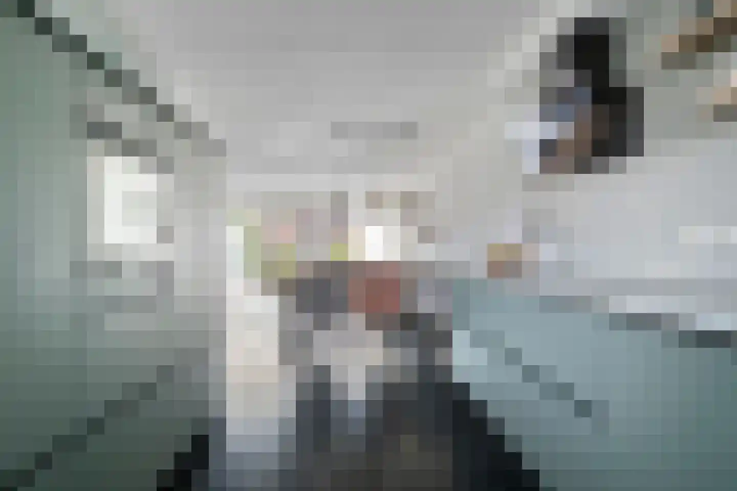 Peseta 36 Dronten thumbnail 13