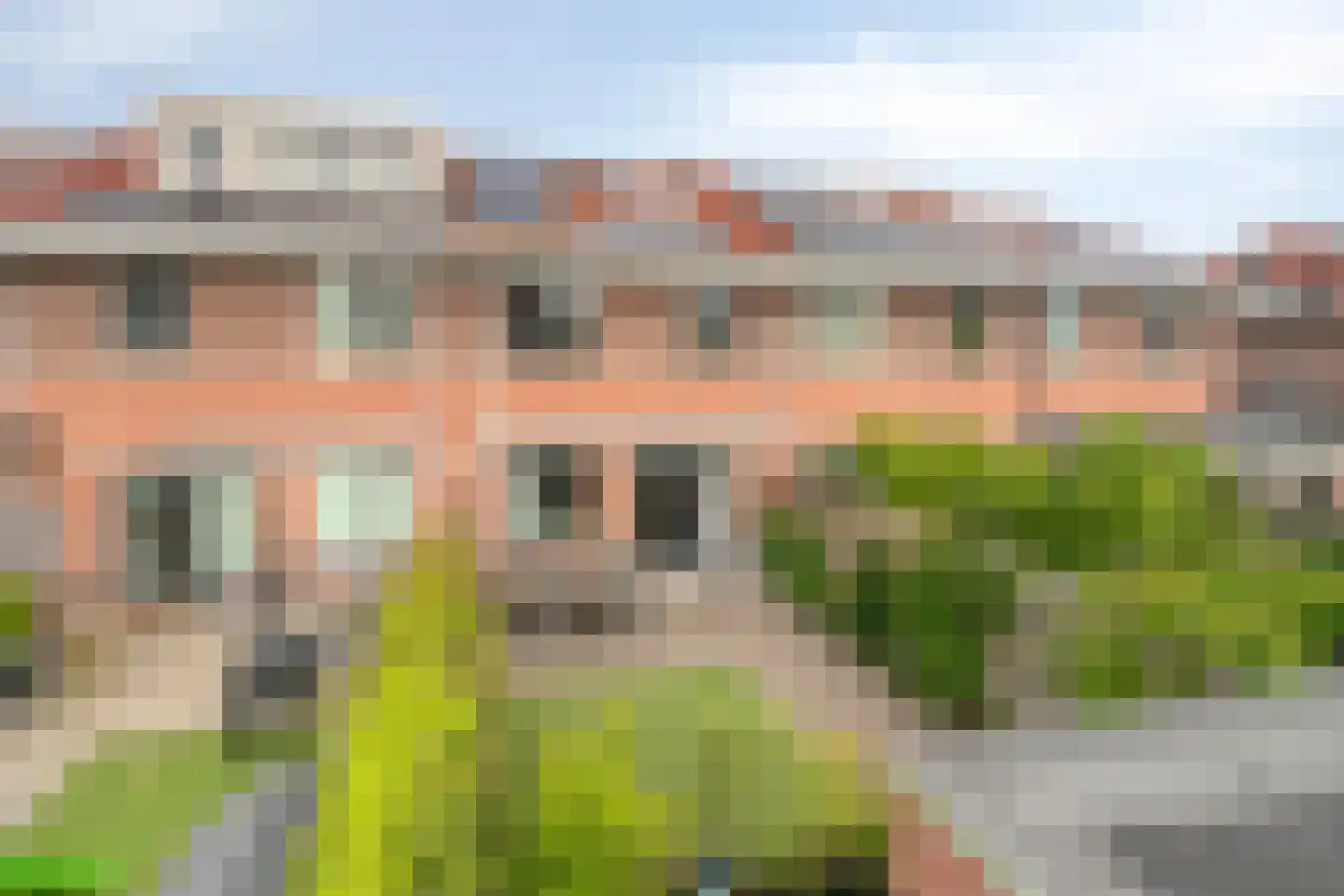 Peseta 36 Dronten thumbnail 29