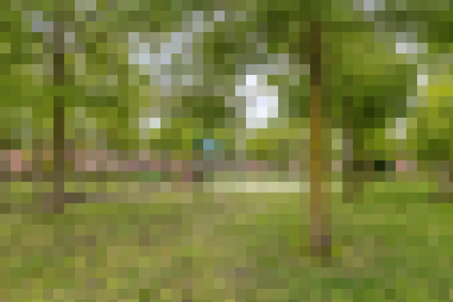 Peseta 36 Dronten thumbnail 39