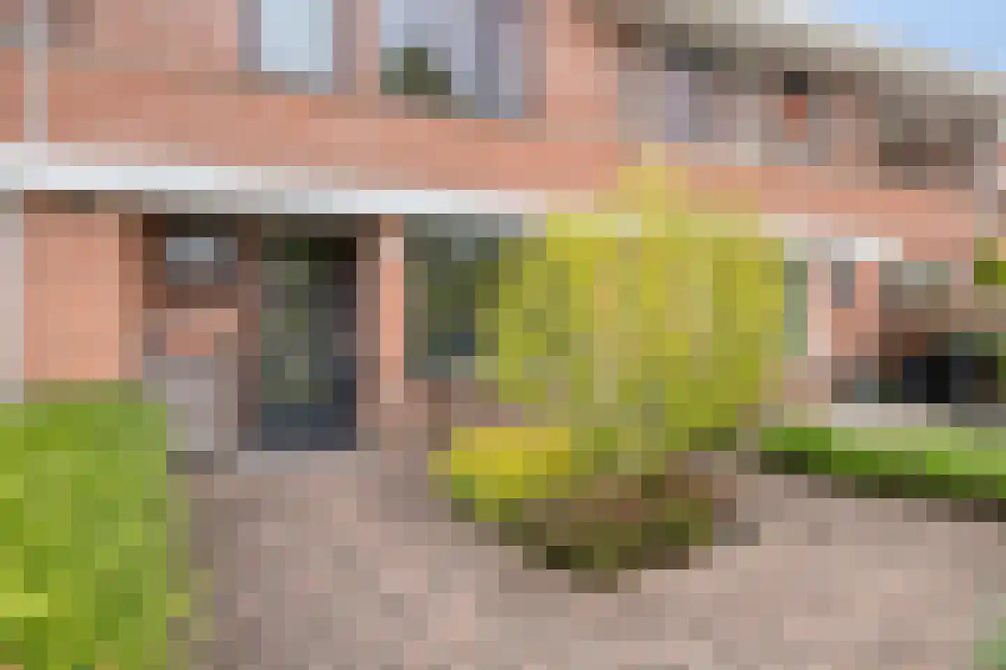 Peseta 36 Dronten thumbnail 6