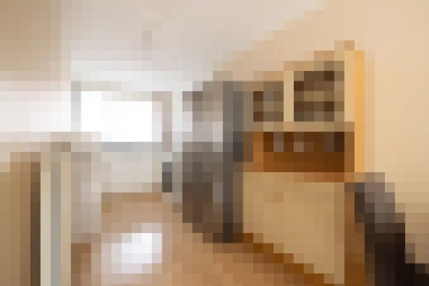 Pesetalaan 37 Amsterdam thumbnail 11