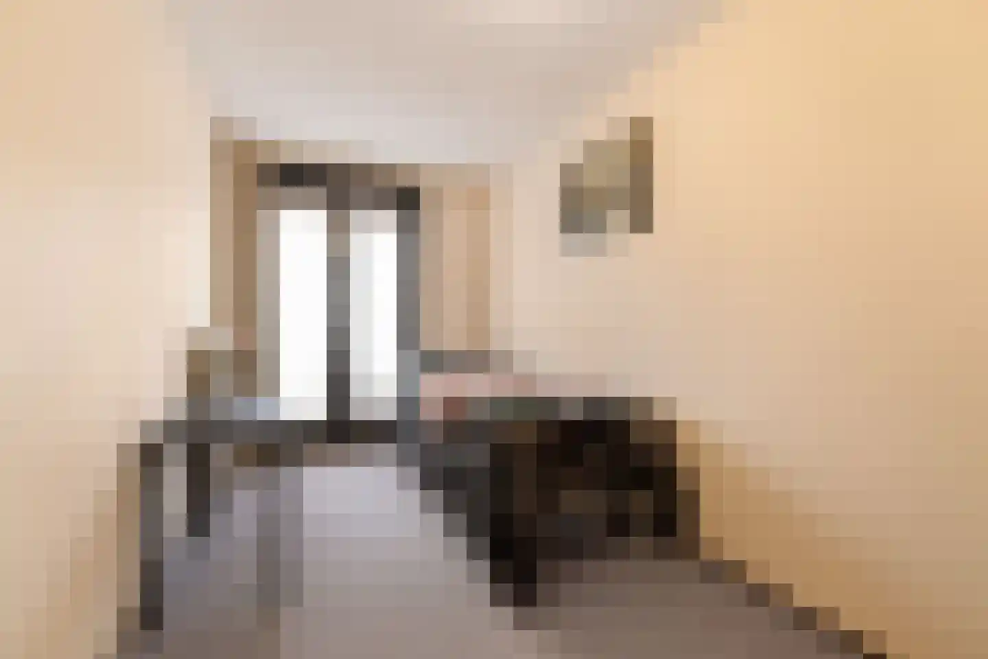 Pesetalaan 37 Amsterdam thumbnail 22