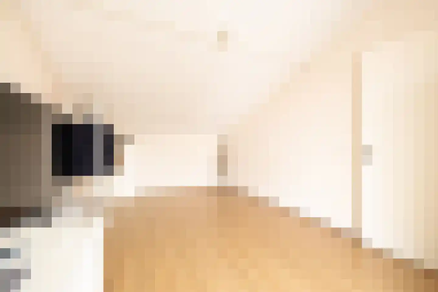 Pesetalaan 37 Amsterdam thumbnail 27