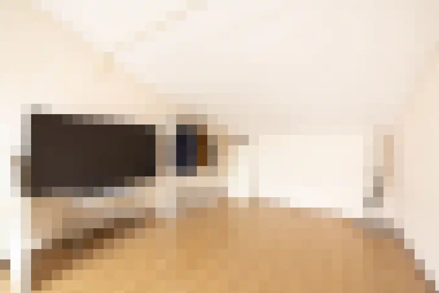 Pesetalaan 37 Amsterdam thumbnail 28